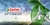Opt for Castrol Optigear