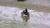 Flossie conquers daytona