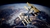 La réalisation de la qualité spatiale