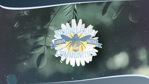 Thumbnail for The Biodiversity of Urban Native Plant Communities