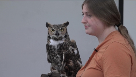 Thumbnail for Lunch &amp; Learn | Raptor Recovery