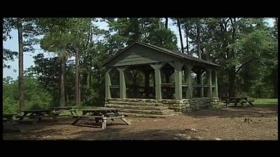 Poinsett State Park Destination Sc Parks Knowitall Org
