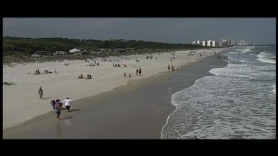 Myrtle Beach State Park Destination Sc Parks Knowitall Org