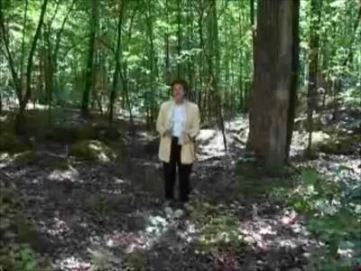 Landscape Architecture Professor A Natural State