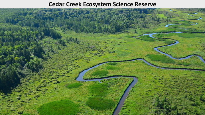 Thumbnail for channel Cedar Creek Ecosystem Science Reserve