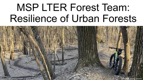 Thumbnail for 2025_MSP-LTER_OverviewTalk_1.2-Forests