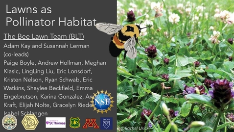 Thumbnail for 2025_MSP-LTER_OverviewTalk_1.3-Pollinators-BeeLawn