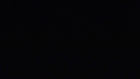 Thumbnail for Flowers.MP4