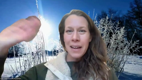 Thumbnail for Bugs Below Zero (December 2025)