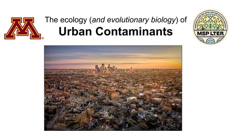 Thumbnail for 2025_MSP-LTER_OverviewTalk_1.1-Contaminants