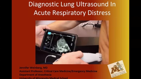 Thumbnail for Lung Ultrasound in Critical Care (Weinberg) 20250918