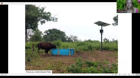 Thumbnail for The effect of bison reintroduction on Minnesota’s oak savanna (July 2021)