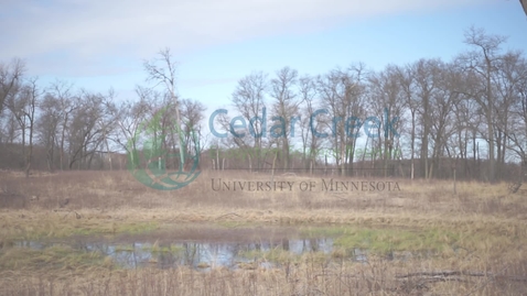 Thumbnail for Oak Savanna Highlight - MN Master Naturalist - Cedar Creek