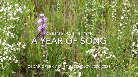 Thumbnail for entry A Year In Song