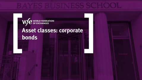 Thumbnail for EMM302 EACMM T1 V02 - Corporate bonds